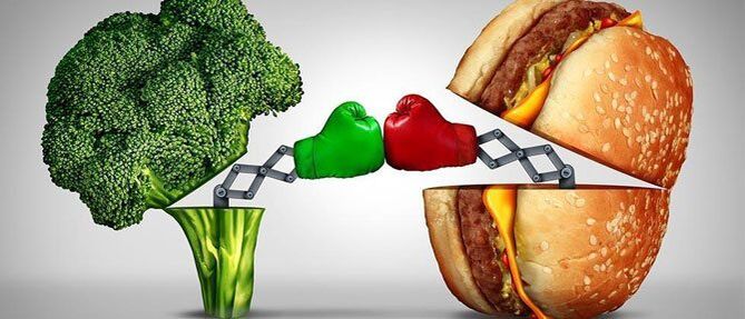 cibo utile e dannoso