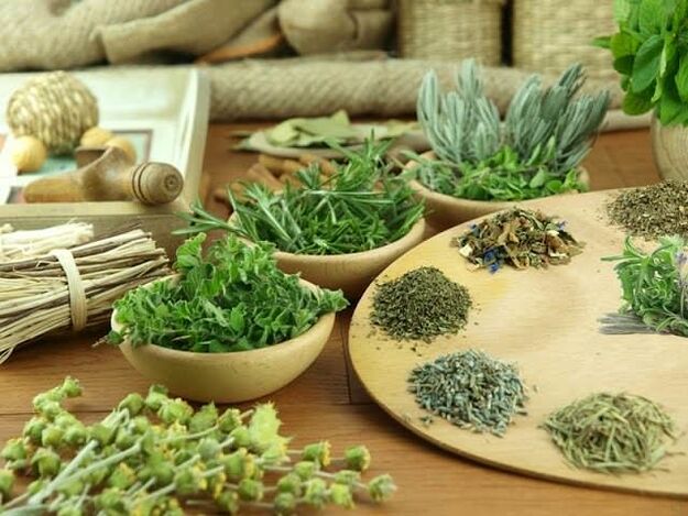 Fitoterapia per potenza